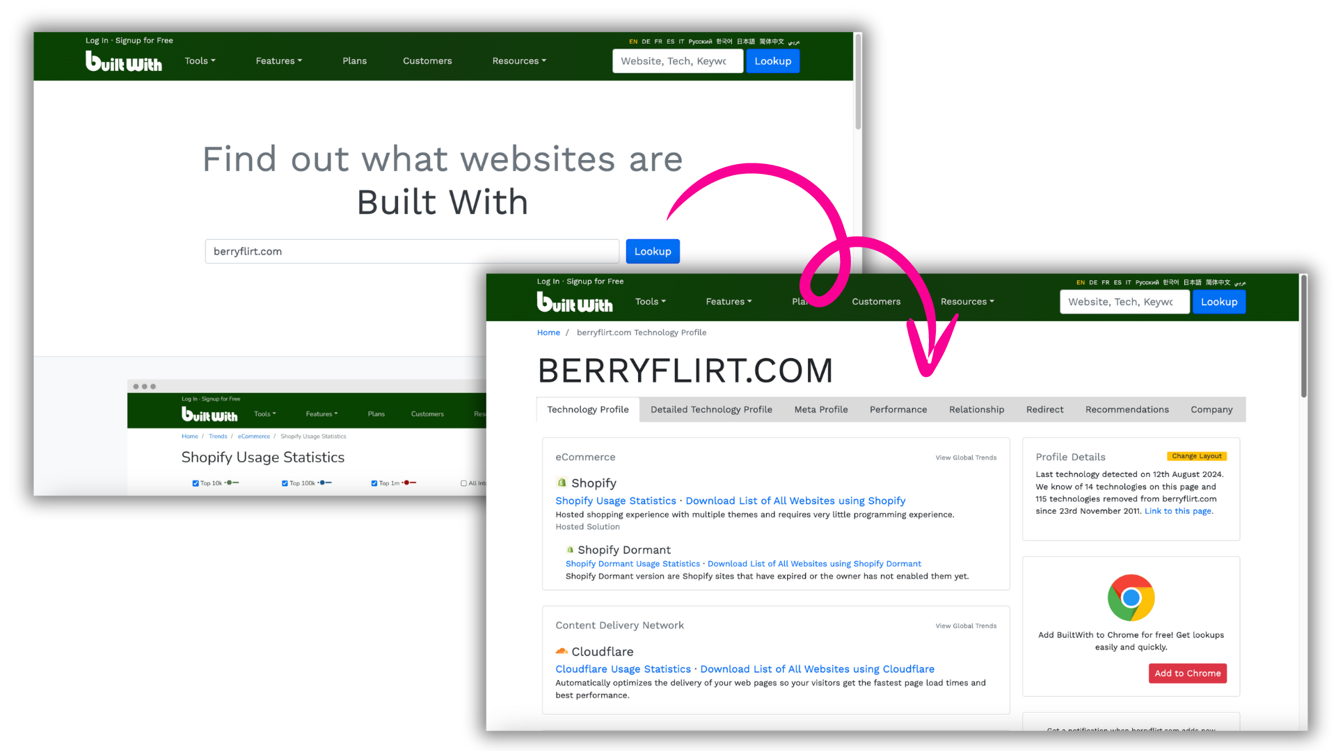 BerryFlirt website details shown on BuiltWith