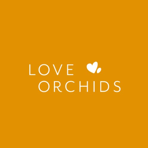 Love orchids logo